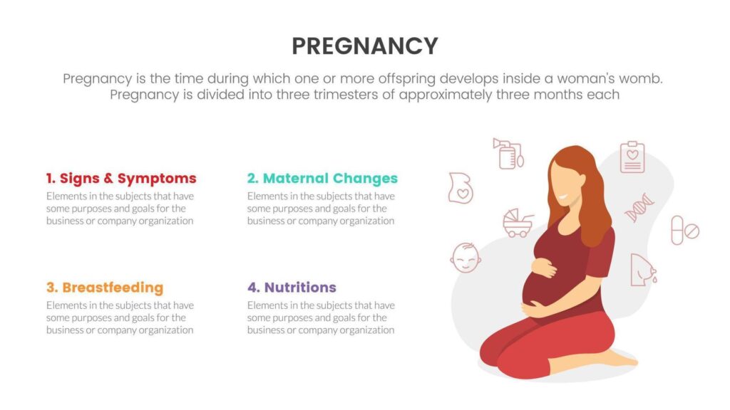 pregnancy infographic